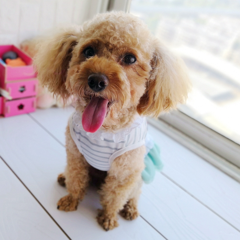 Ucuz satış Pet elbise köpek iç - Baby Clothing Sale incelemesi ve fiyatı